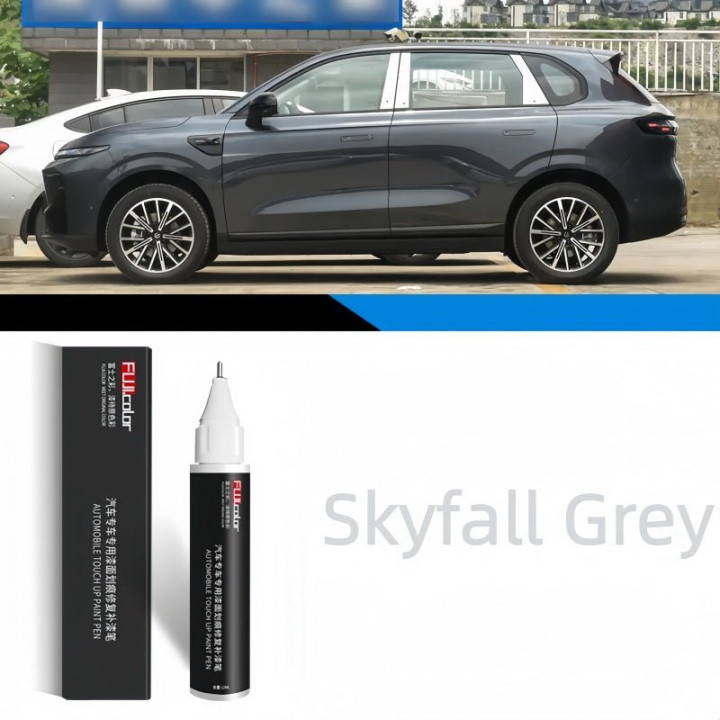 OEM Color Touch Up Paint Pen for Leapmotor B10