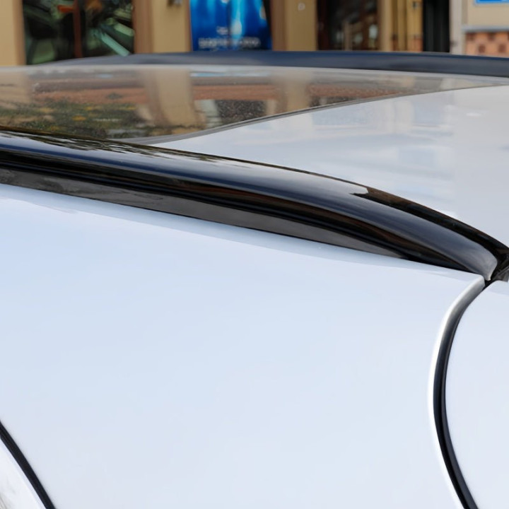 Sport Roof Side Rail Molding for Geely EX5 EM-i