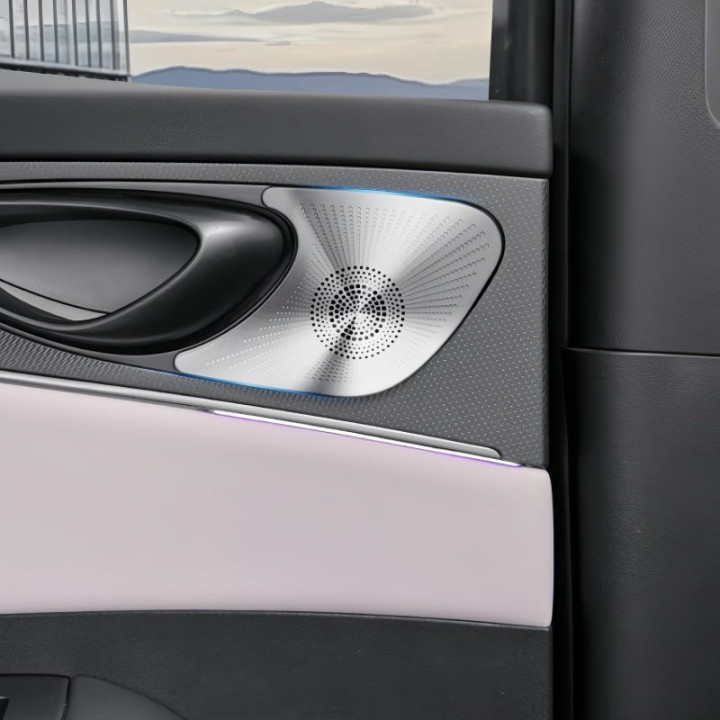 Rear Door Speaker Cover for BYD Seal 6 DM-i/Touring