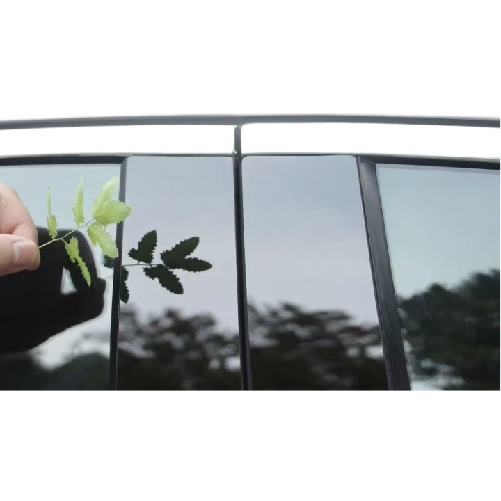 Clear & Smoke Black Pillar Guard for Leapmotor B10/C10/B05