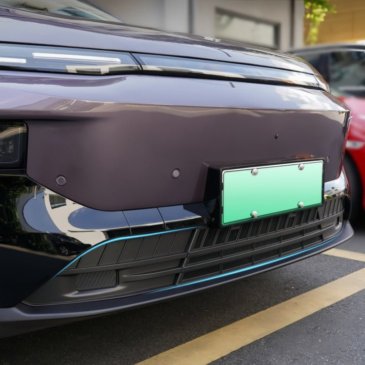 Front Bumper Grille Guard Mesh for Leapmotor B10