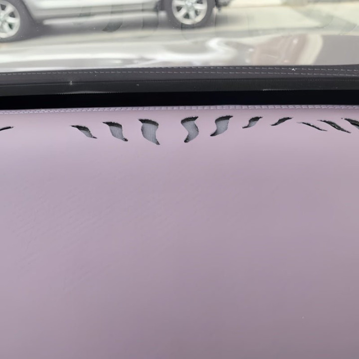 Dashboard Cover Mat for Leapmotor B10