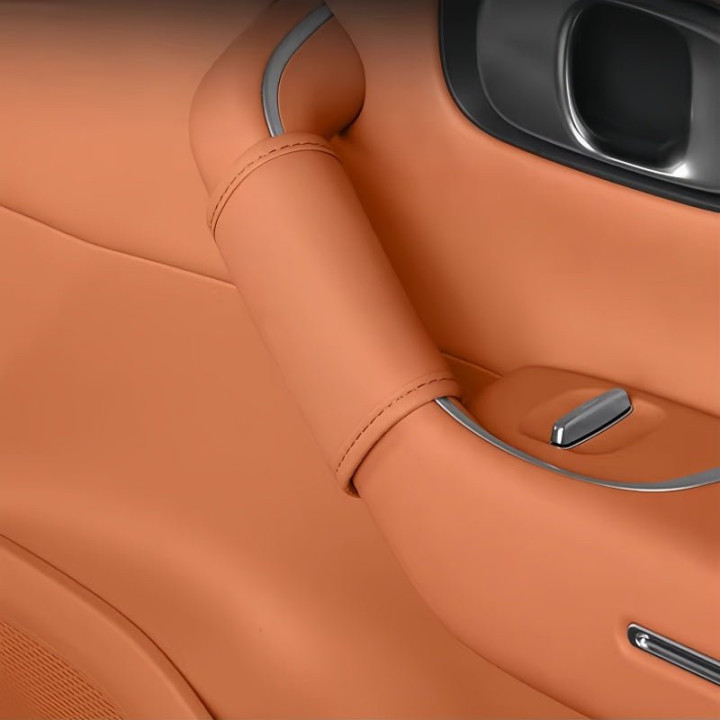 Door Handle Protector for Leapmotor C10 (4-Pack)