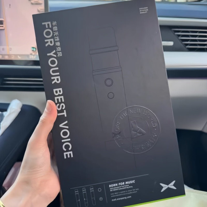 XPeng Official In-Car Wireless Microphones (2-Pack)
