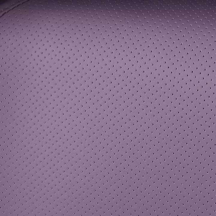 Car Seat Covers for Leapmotor B10