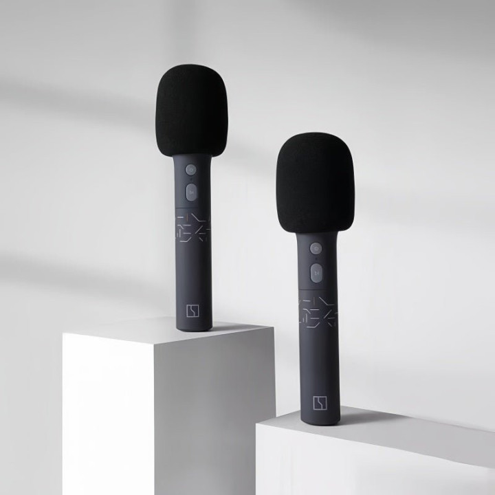 Genuine Zeekr UHF Wireless Microphones (2-Pack)