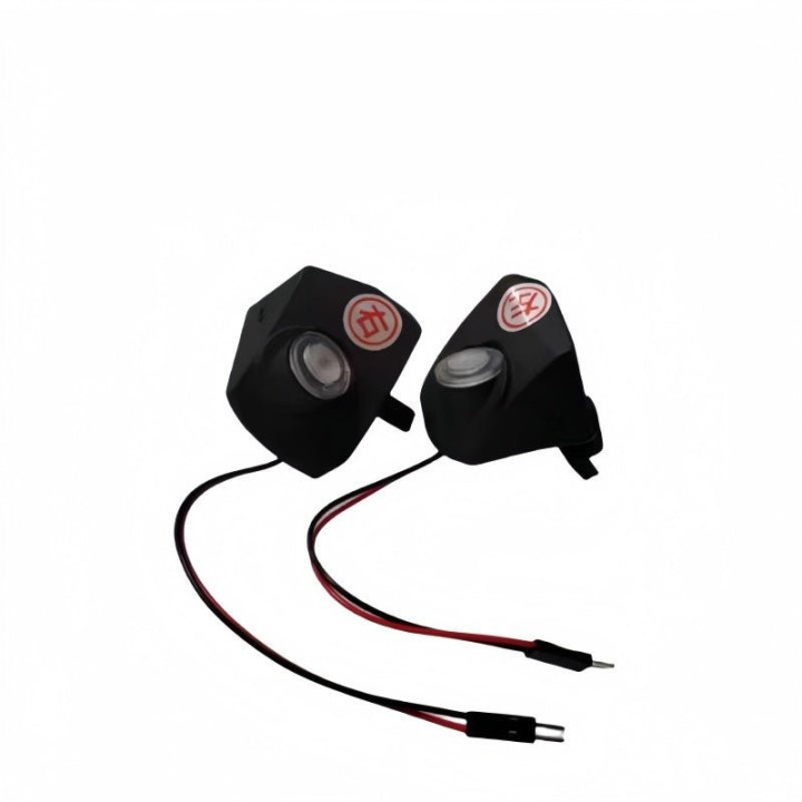 Angel Wing Puddle Lights for BYD (2 Pcs)