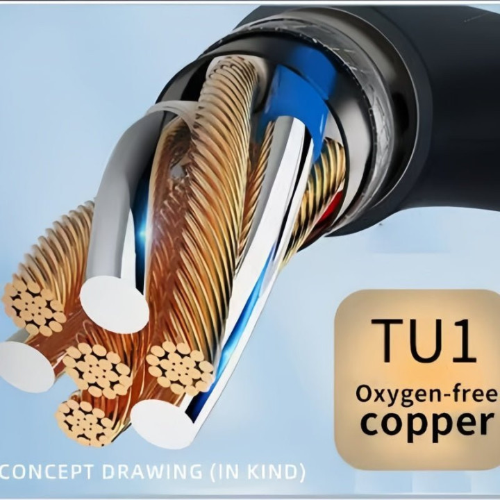 Type 2 Portable EV Charger for BYD