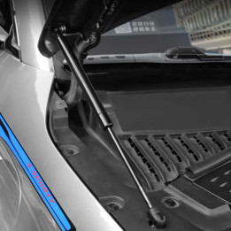 For BYD Atto 3 Front Bonnet Gas Struts