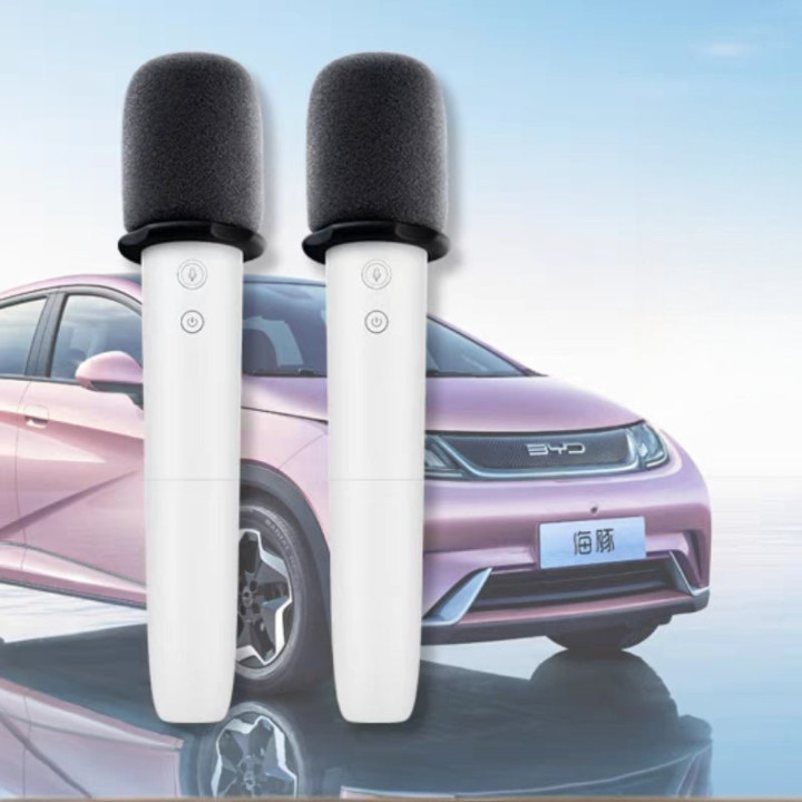 For BYD Wireless Microphone