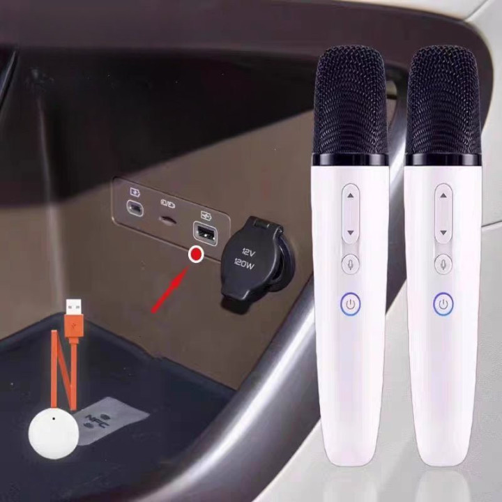 For BYD Wireless Microphone