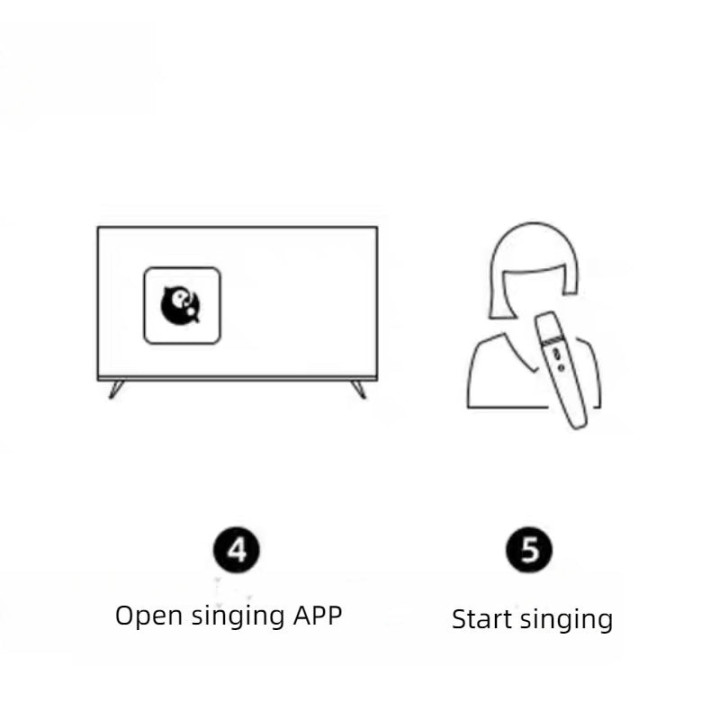 For BYD Wireless Microphone