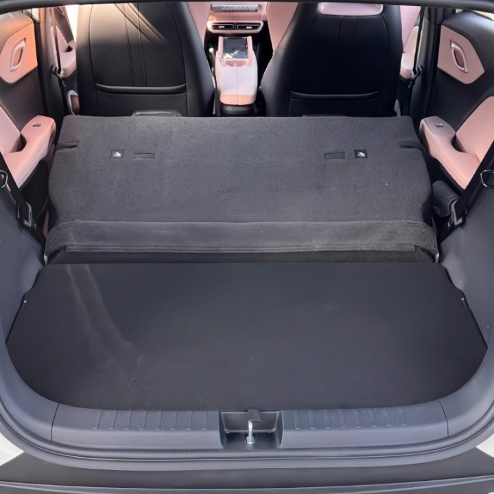 Trunk Organizer Box for BYD Dolphin Surf/Seagull