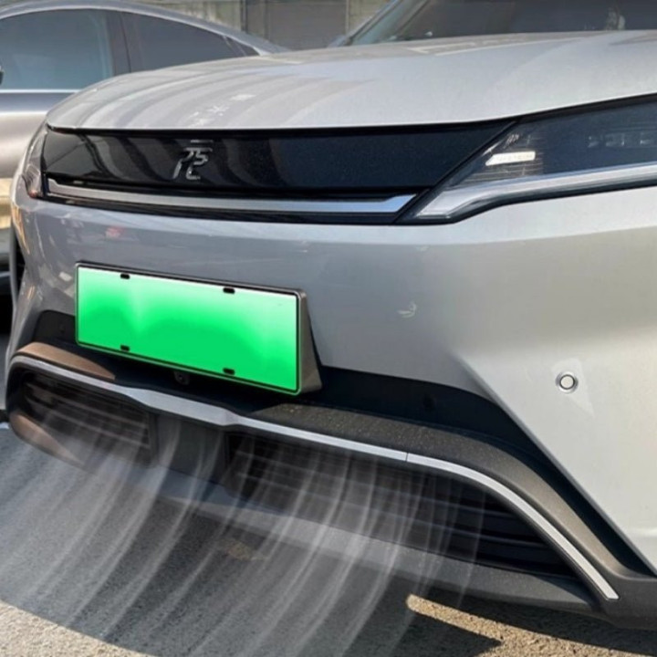 Grille Proof Net for BYD Atto 2