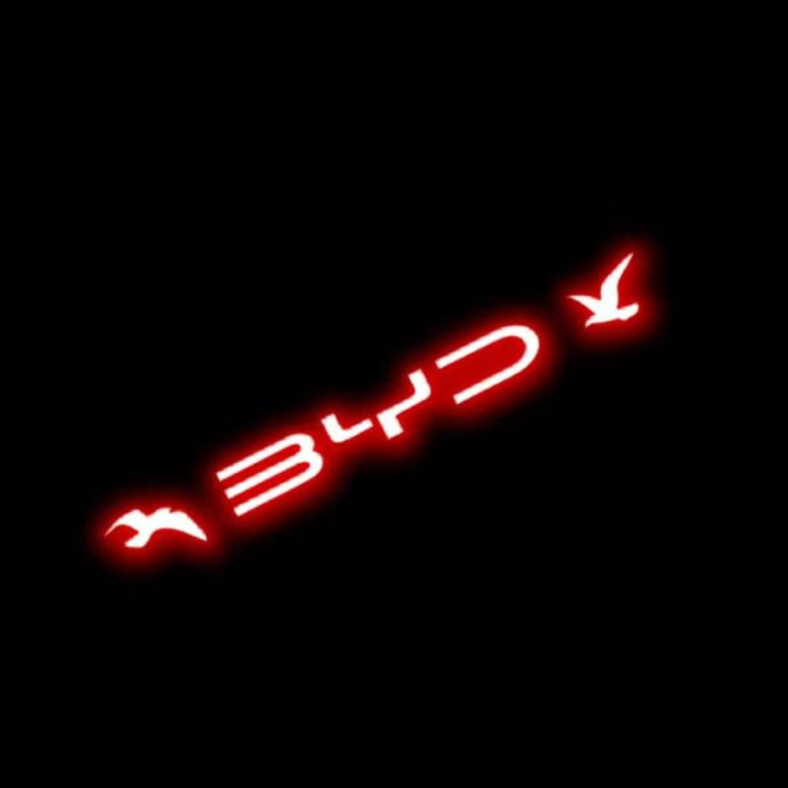 Rear Brake Light Warning Sticker for BYD ATTO 3/Dolphin/Seal