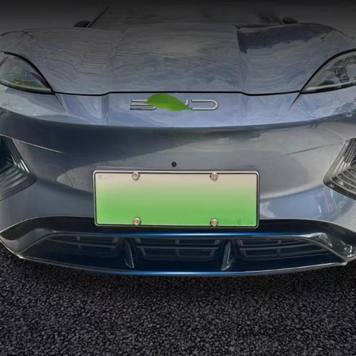 Grille Proof Net for BYD Seal