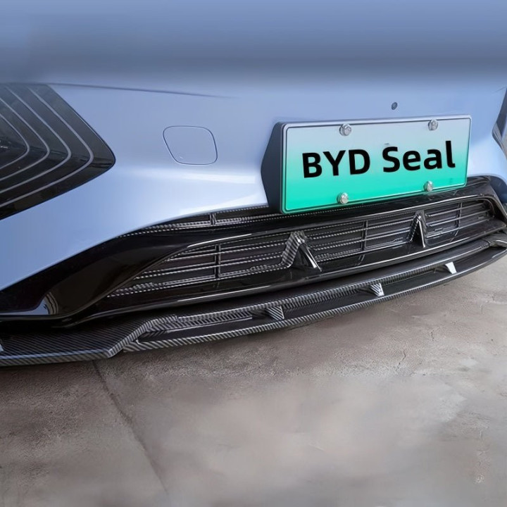 Grille Proof Net for BYD Seal