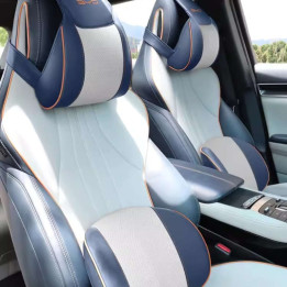 Headrest & Lumbar Pillow Set for BYD (2-Piece)