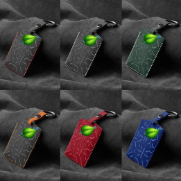 Alcantar Car Key Card Case Cover for ZEEKR