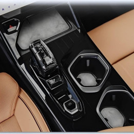 Center Console Liner Trim Mats for Geely Starray