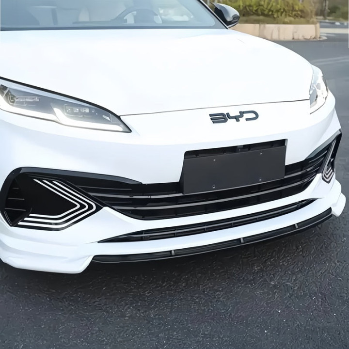 Siatka ochronna grilla do BYD Seal 6 – zdjęcie 3
