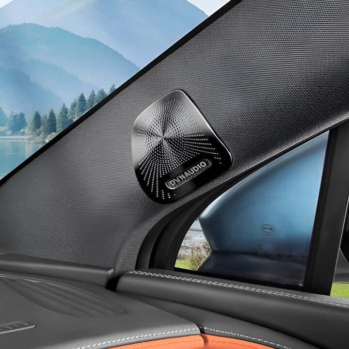Nakładki na elementy audio do BYD Sealion 7 – zdjęcie 9