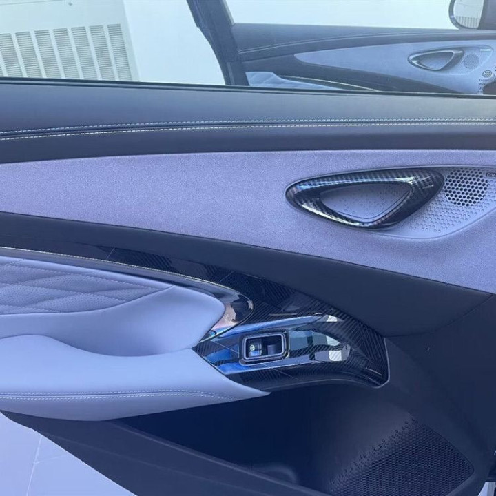 Osłony wewnętrznych klamek do BYD Seal – zdjęcie 2