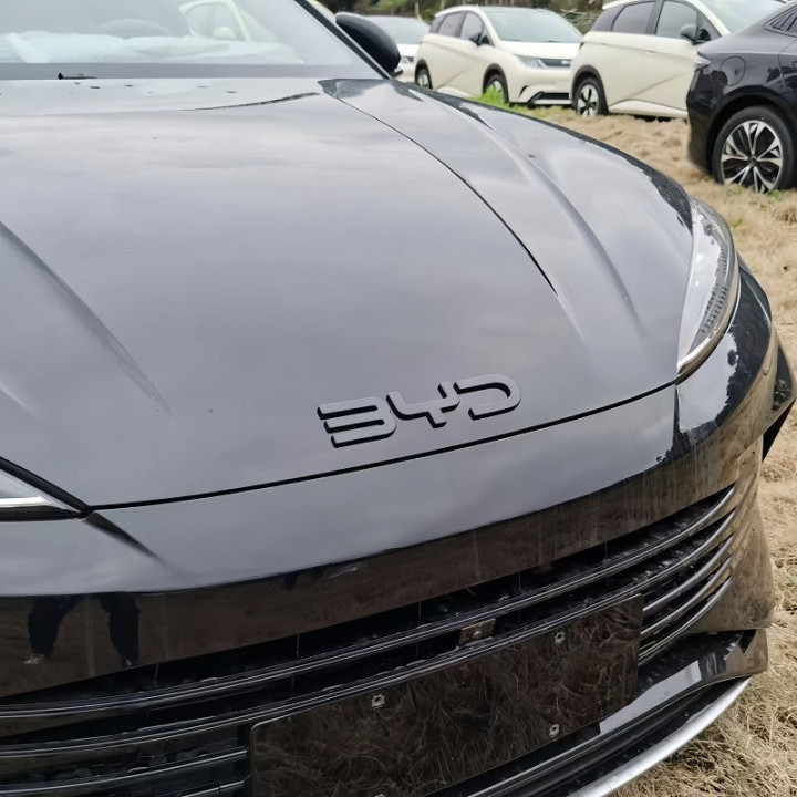 Nakładka na emblemat przedniego zderzaka do BYD – zdjęcie 3