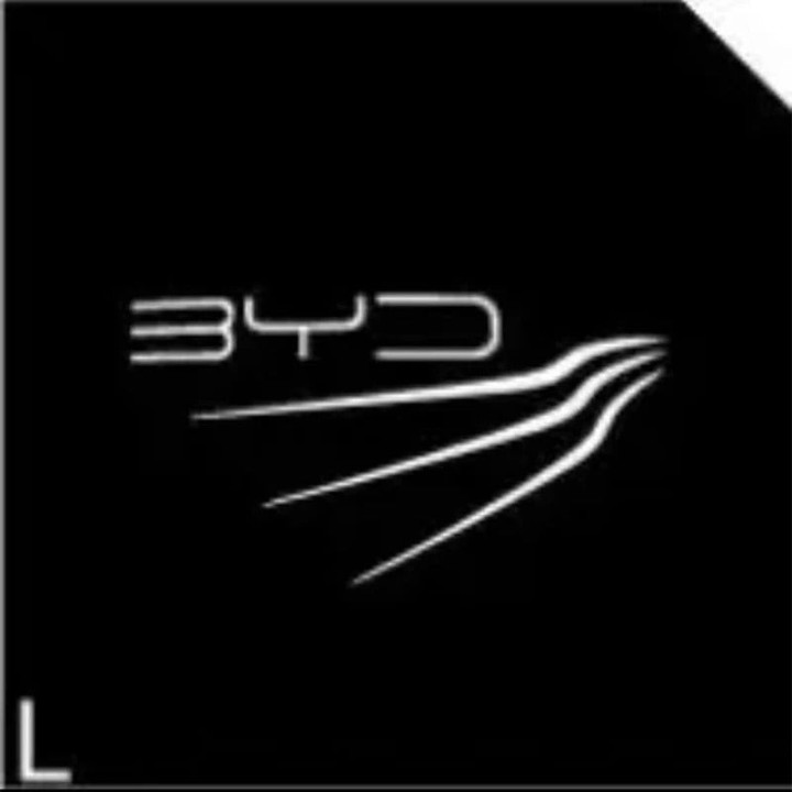 Lampki powitalne drzwi 12 V do BYD i Denza D9 – zdjęcie 2